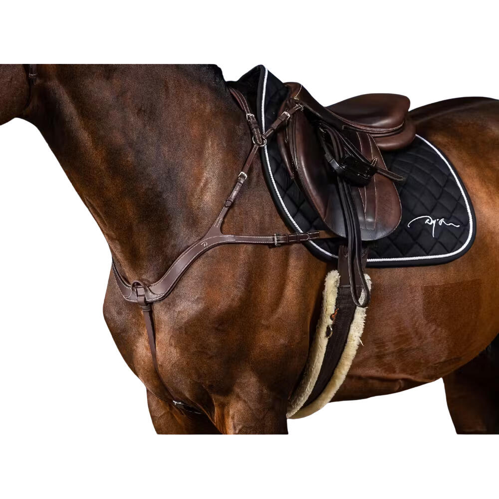 Anatomical hunting collar for horses Dy'on