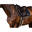 Collier de chasse pour cheval anatomique Dy'on