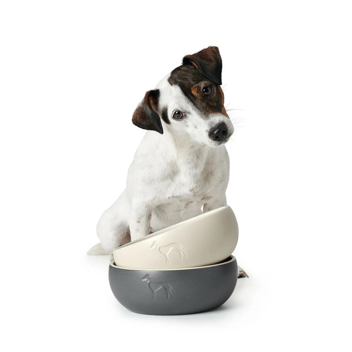 Mangeoire pour chiens Hunter Gris 4/5