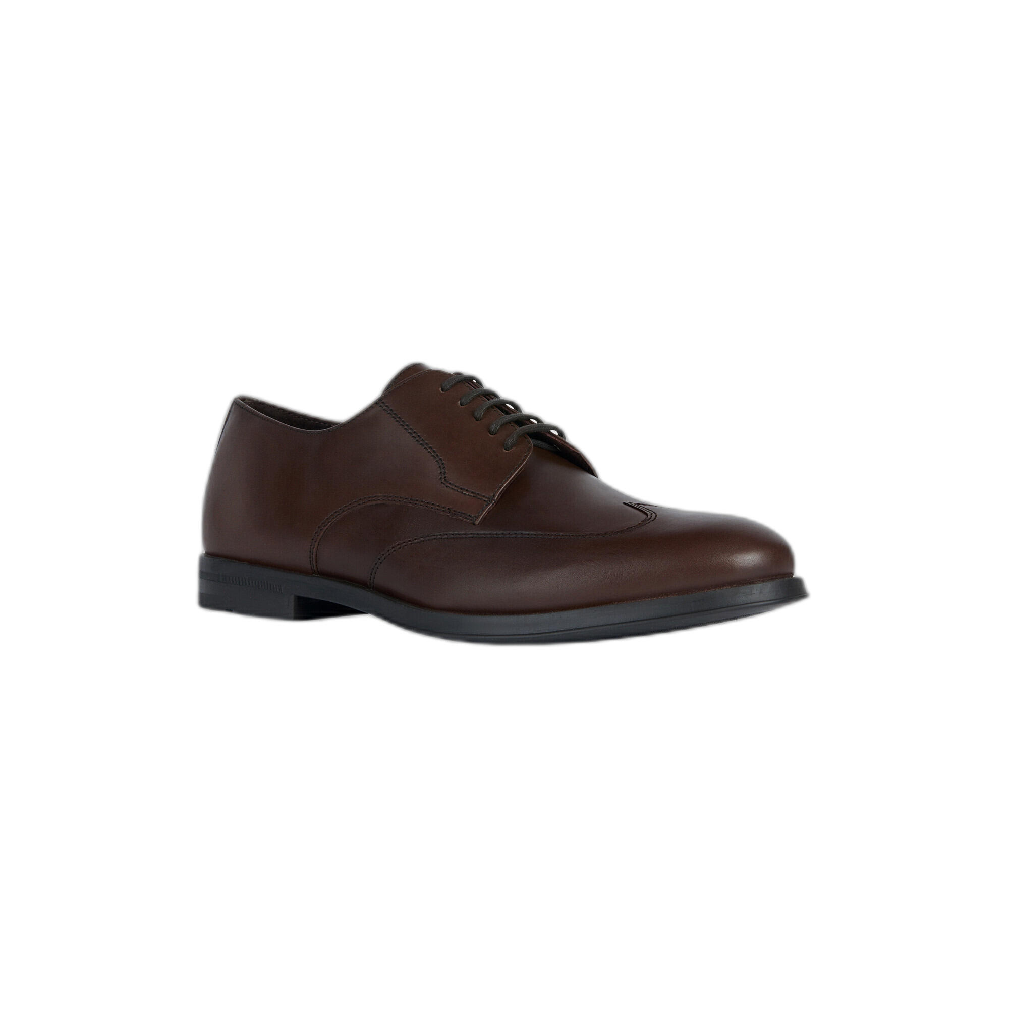 Derbie Geox Decio 3/7
