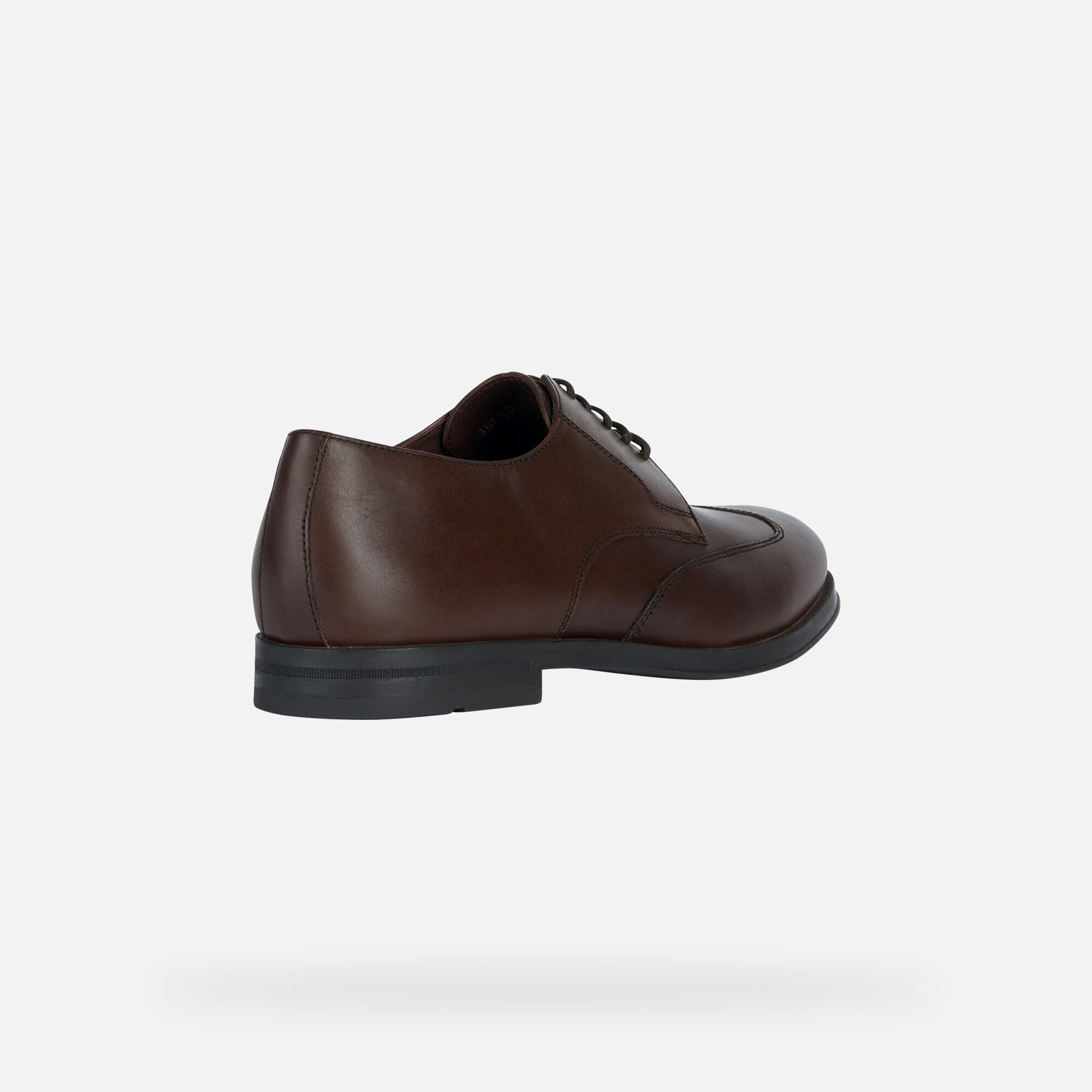 Derbie Geox Decio 5/7
