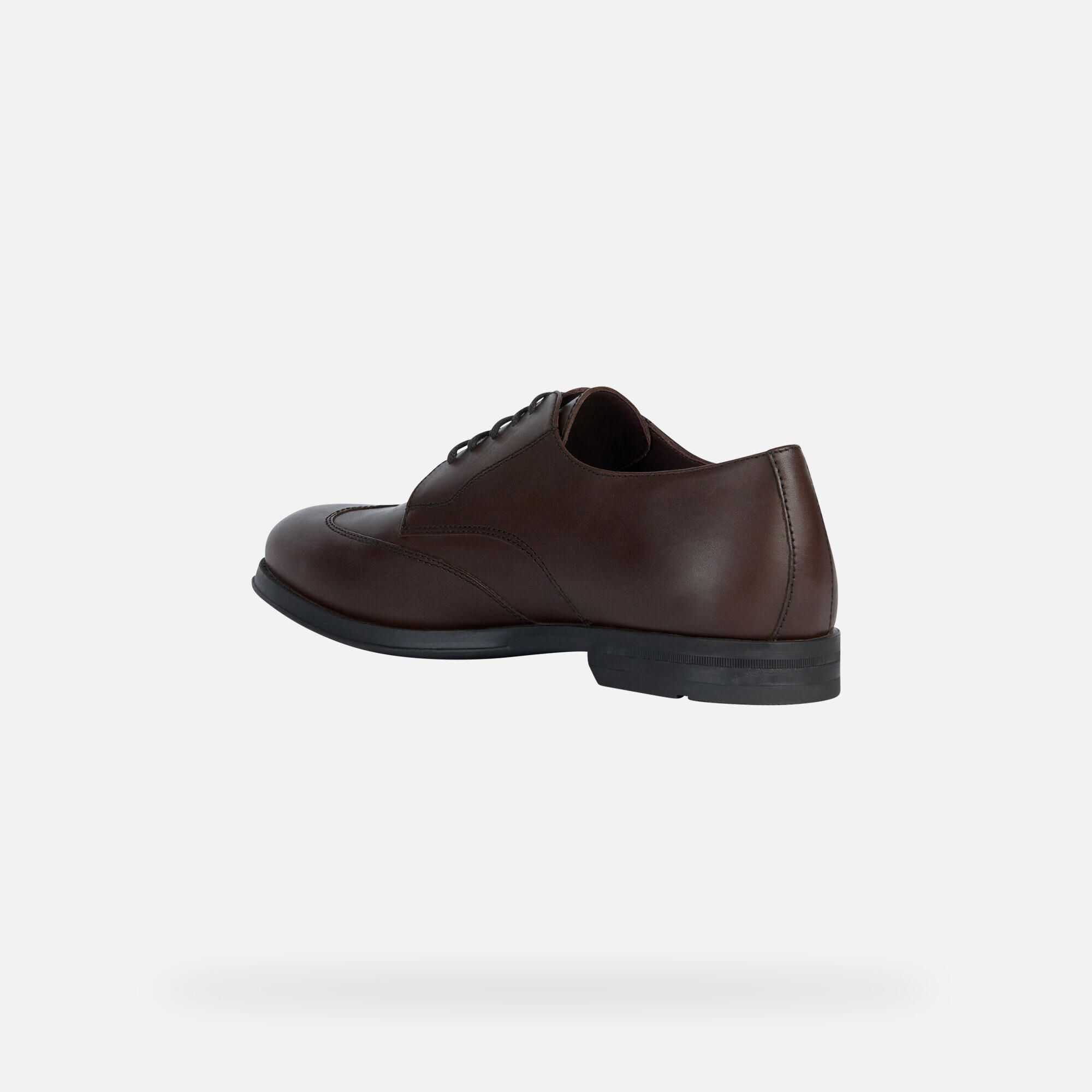 Derbie Geox Decio 4/7