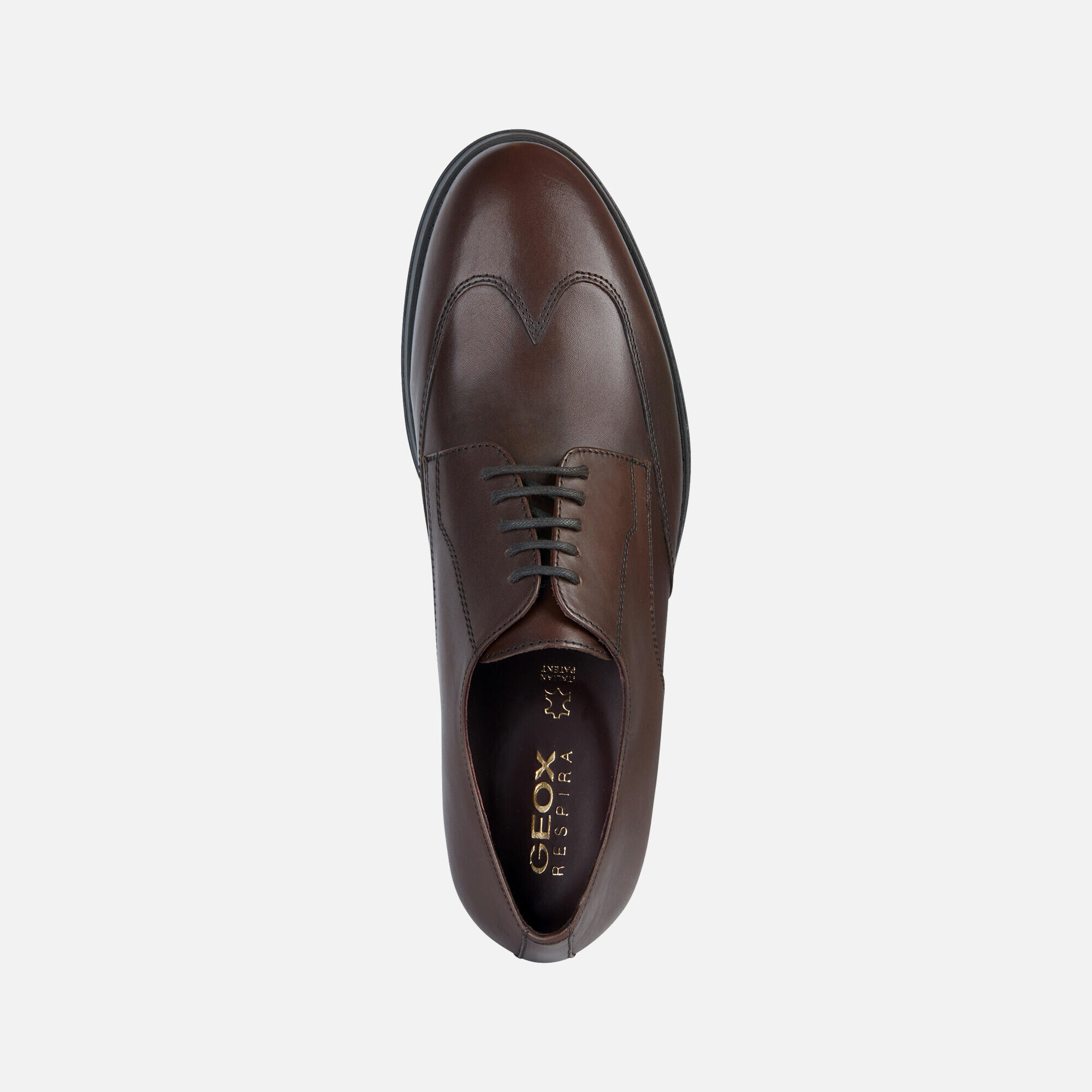 Derbie Geox Decio 6/7