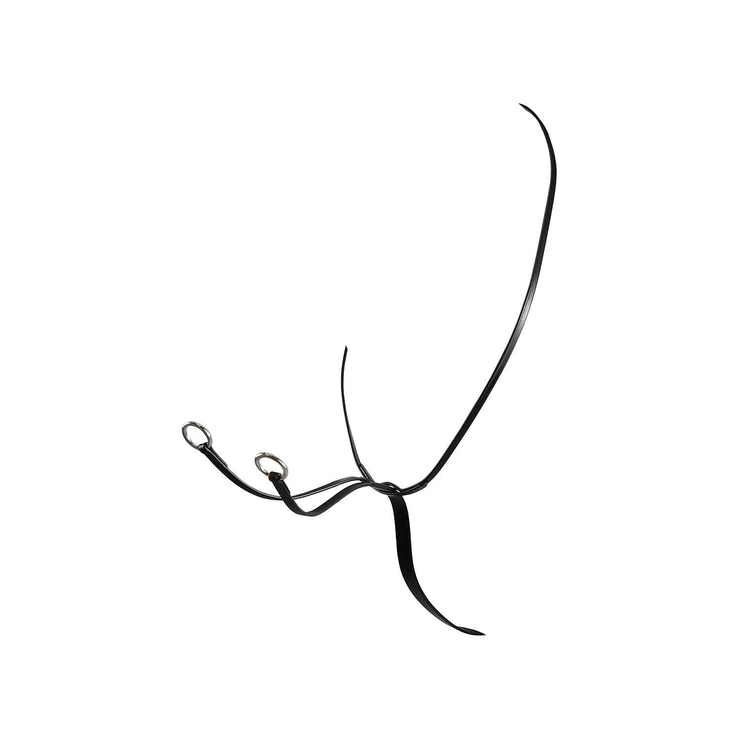 EQUESTRO picture
