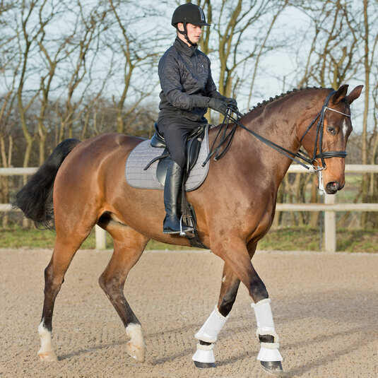 Guêtres pour cheval fermées Horze Signature 3/5