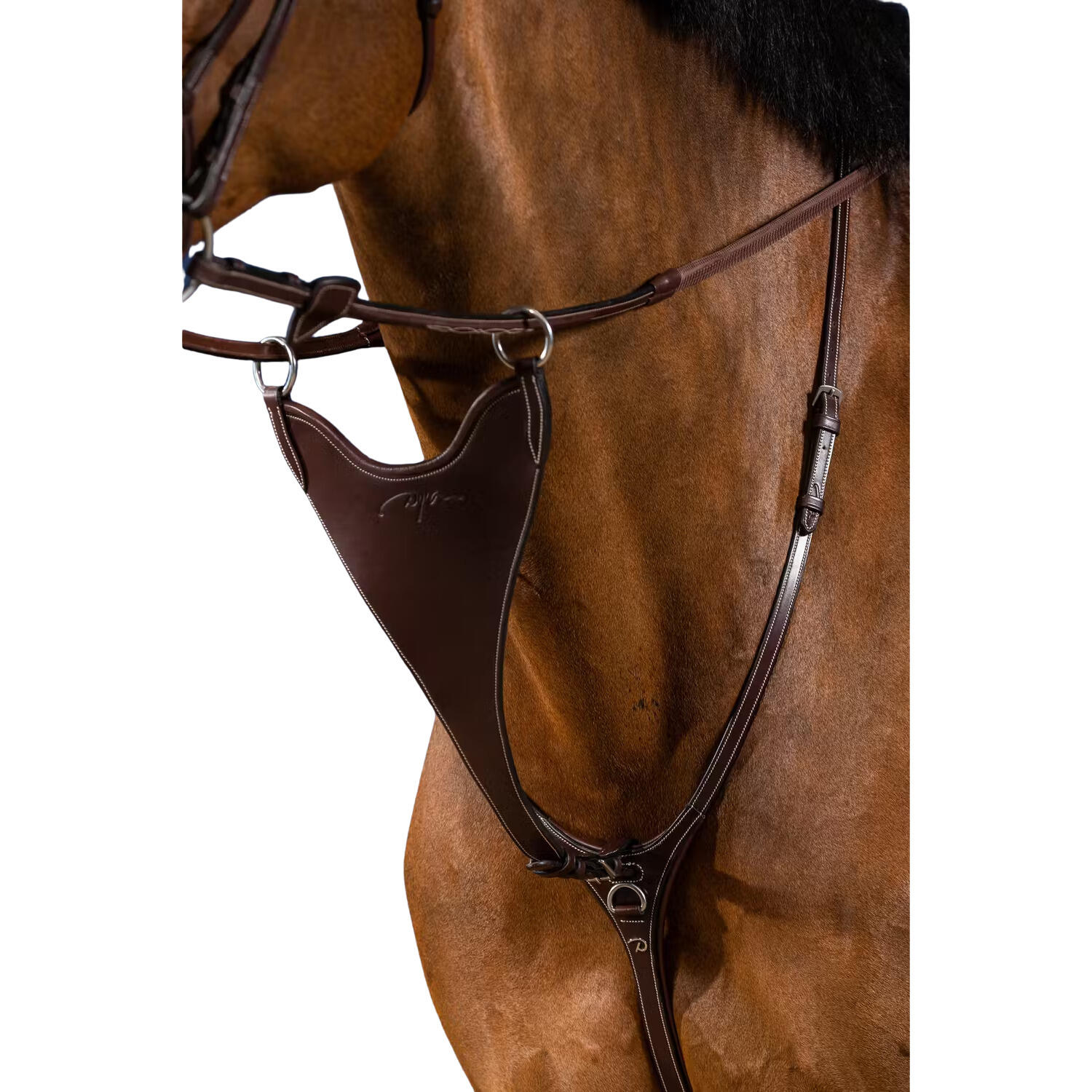 Fourche de martingale pleine rigide Dy'on 2/2