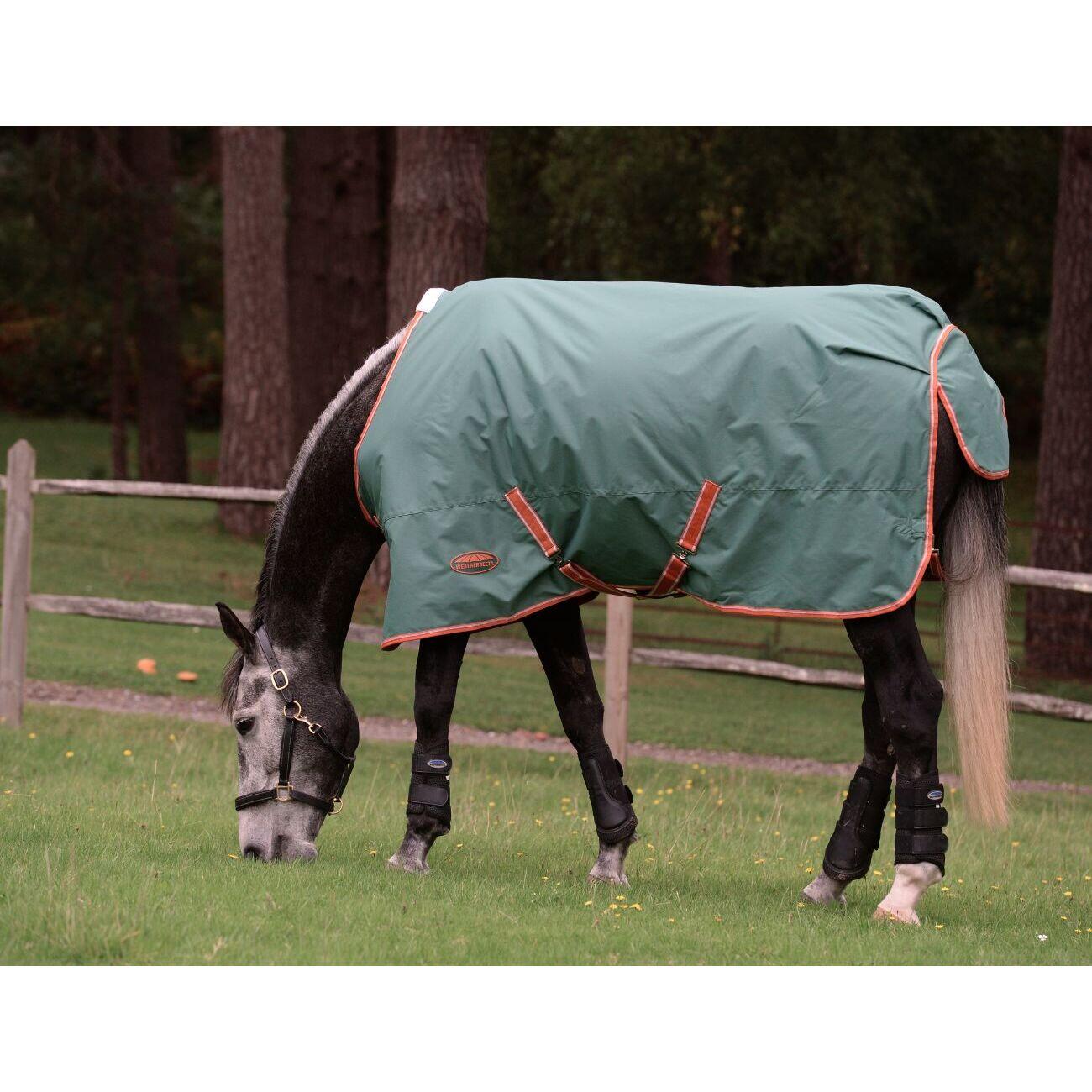 Coperta da paddock per cavalli Weatherbeeta Comfitec Tyro 200g 2/7
