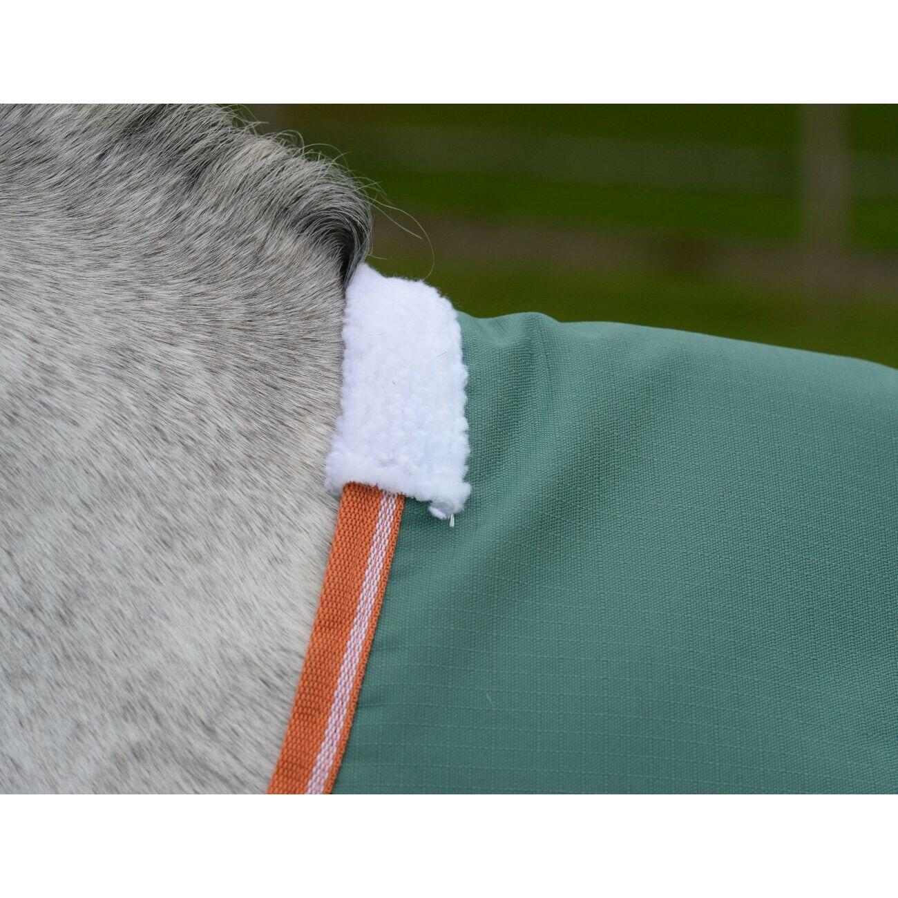 Coperta da paddock per cavalli Weatherbeeta Comfitec Tyro 200g 4/7