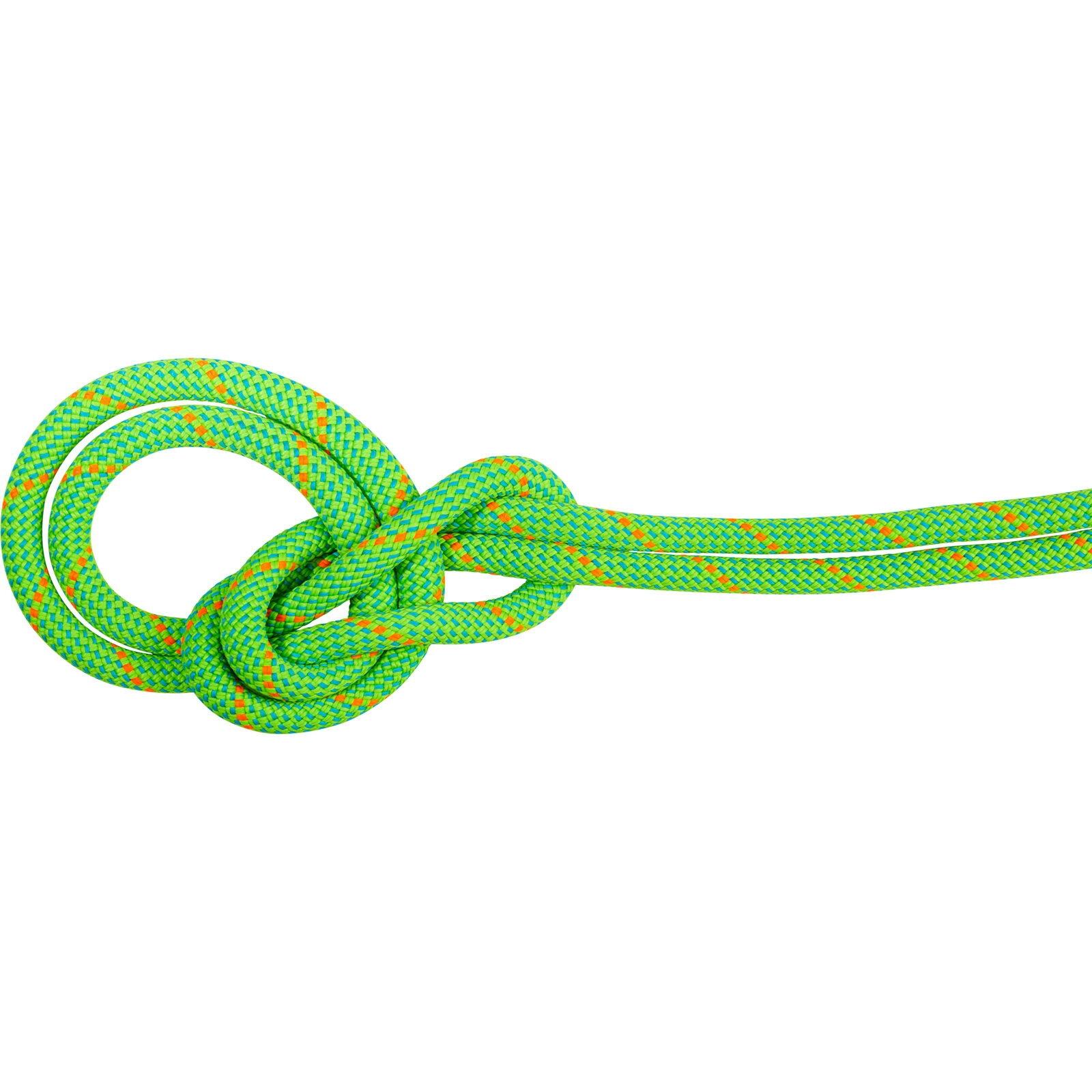 MAMMUT picture