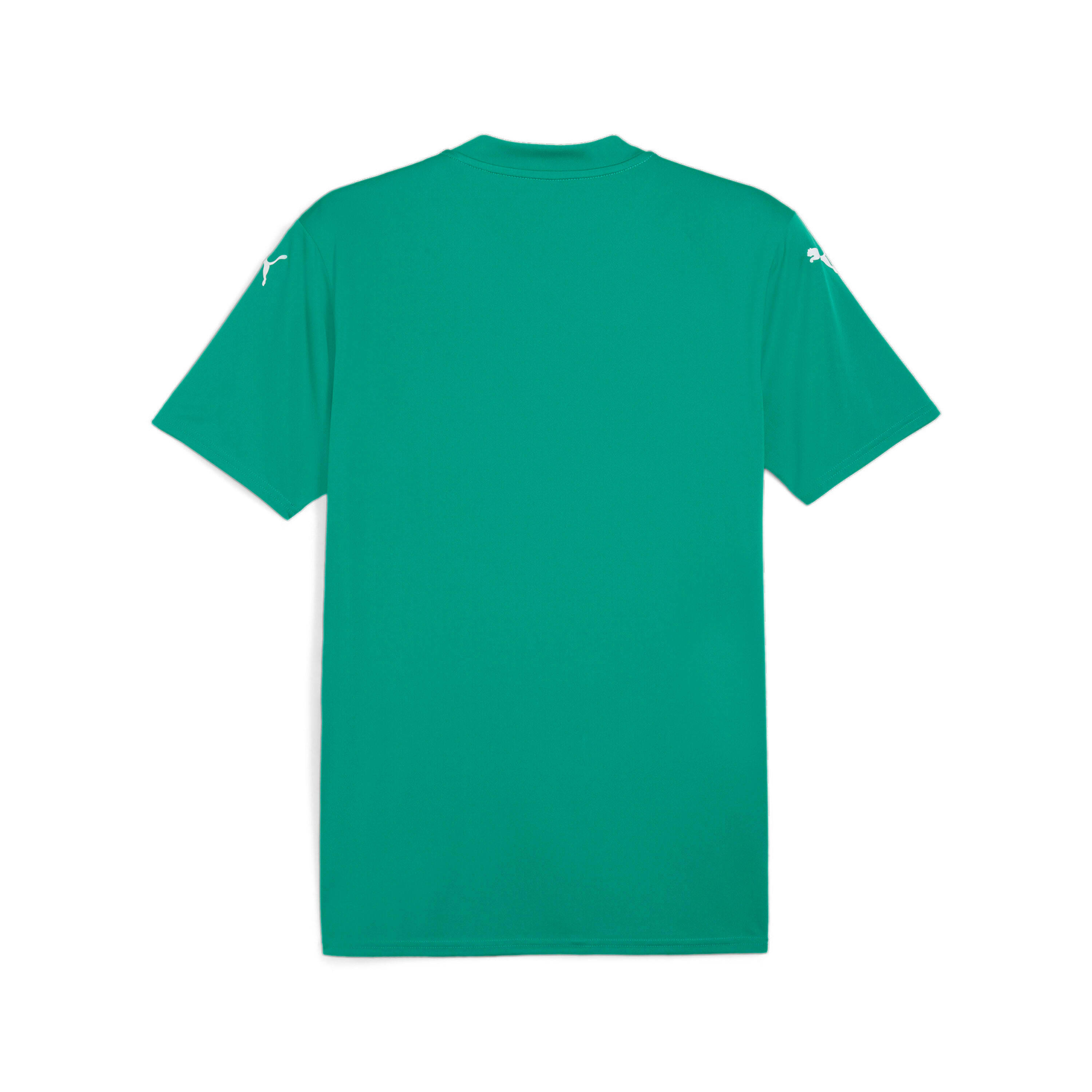 Jersey Puma TeamGlory 2/2
