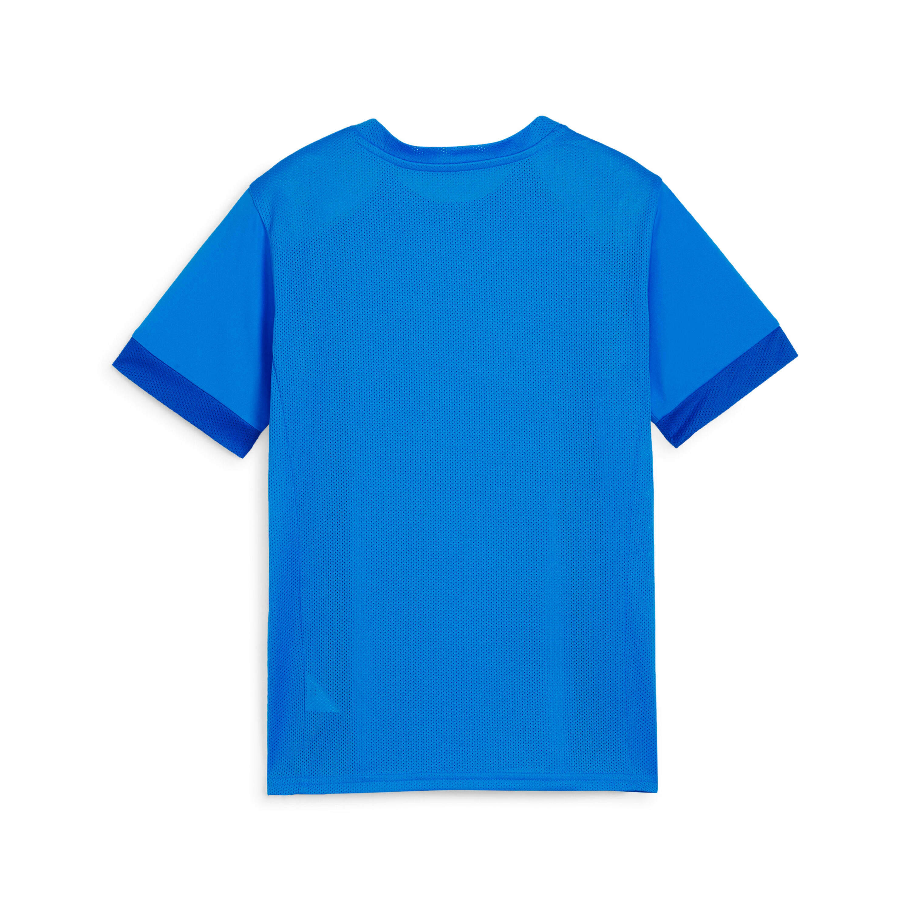 Maglia per bambini Puma TeamGloal 2/2