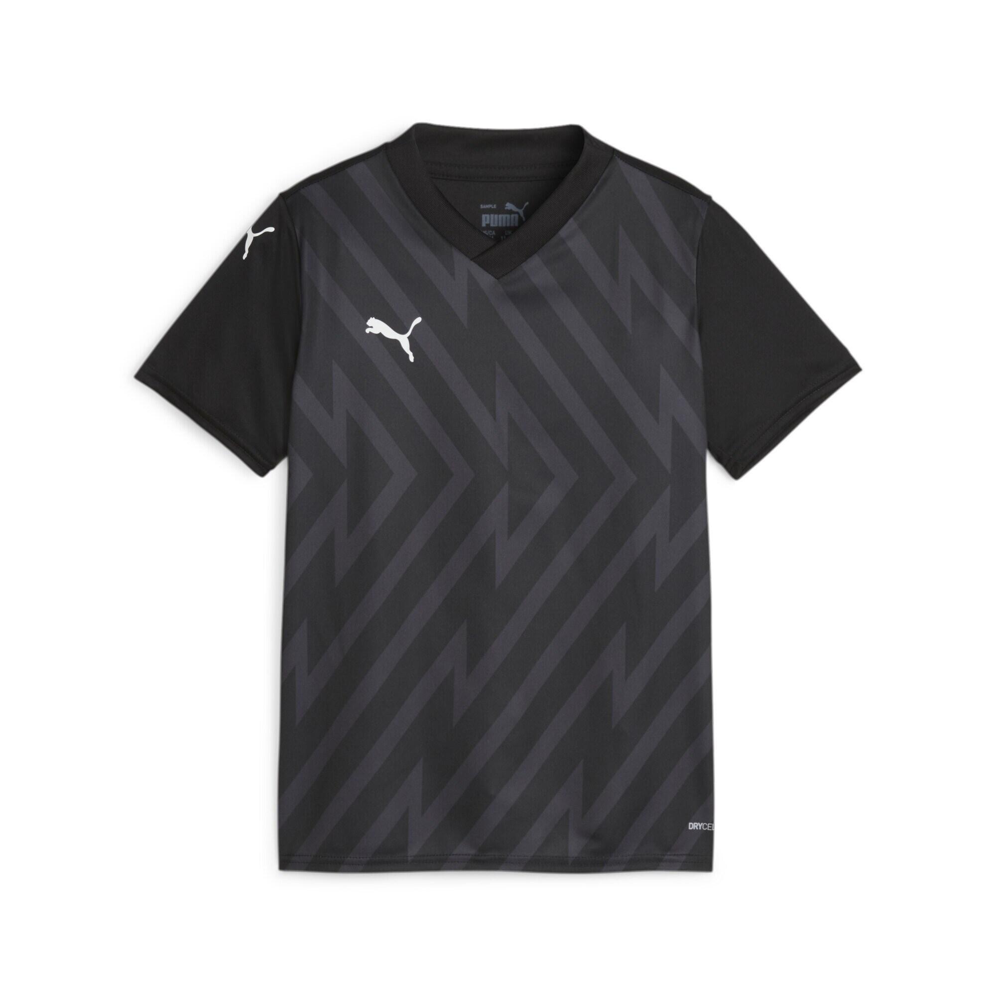 PUMA picture
