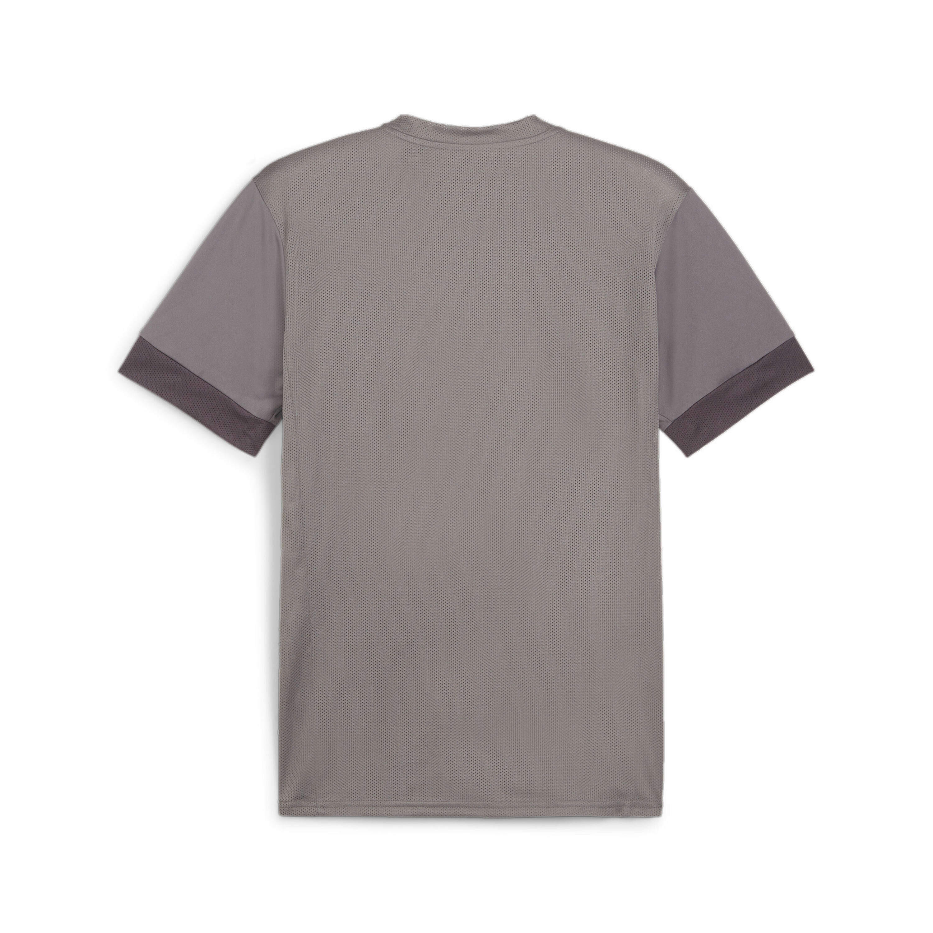Maillot Puma Teamgoal Matchday 2/2