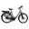 Bicicleta Electrica Stella Livorno Dama FDST RTE 2.0 - 28 Inch, M, Gri