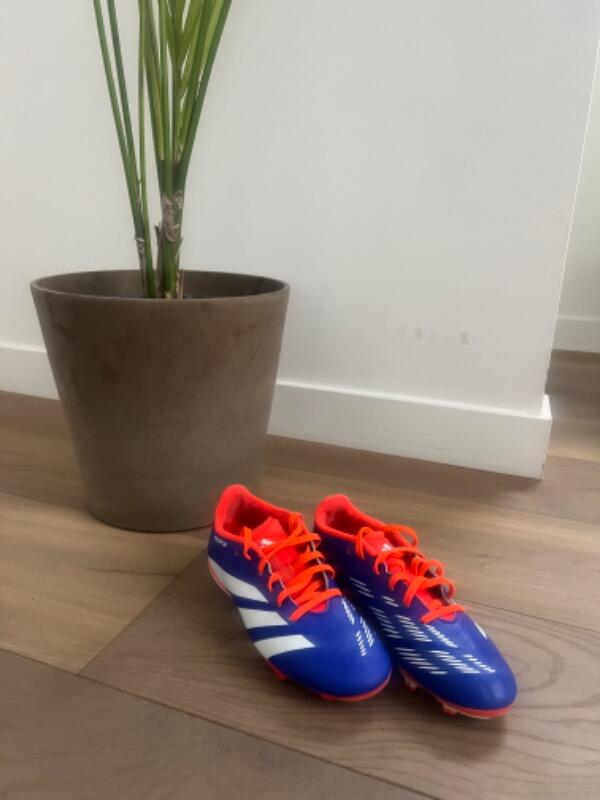 ADIDAS picture