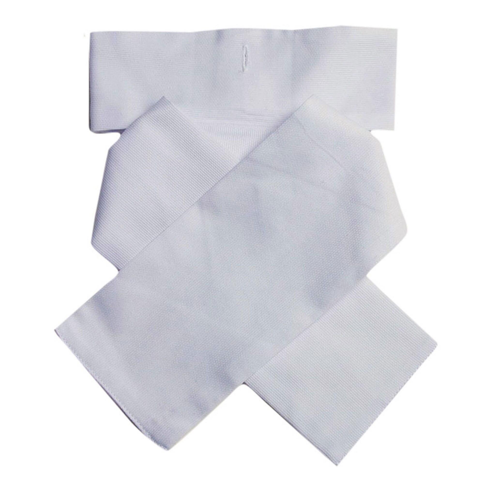Unisex Adult Ready Tied Stock (White) 1/1