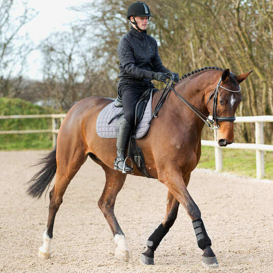 Front horse gaiters Horze ProSoft 5/5