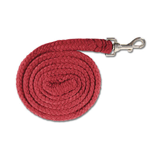 Führstrick für Fohlen Waldhausen