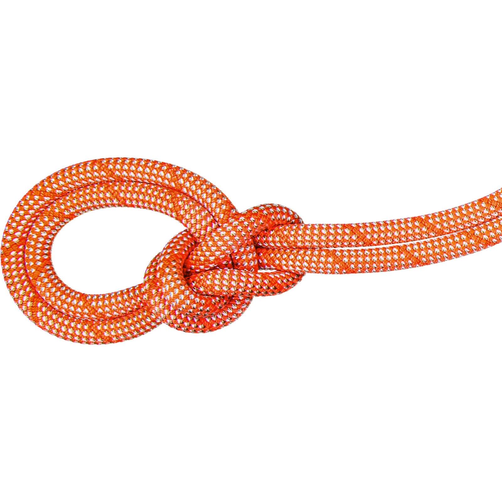 MAMMUT picture