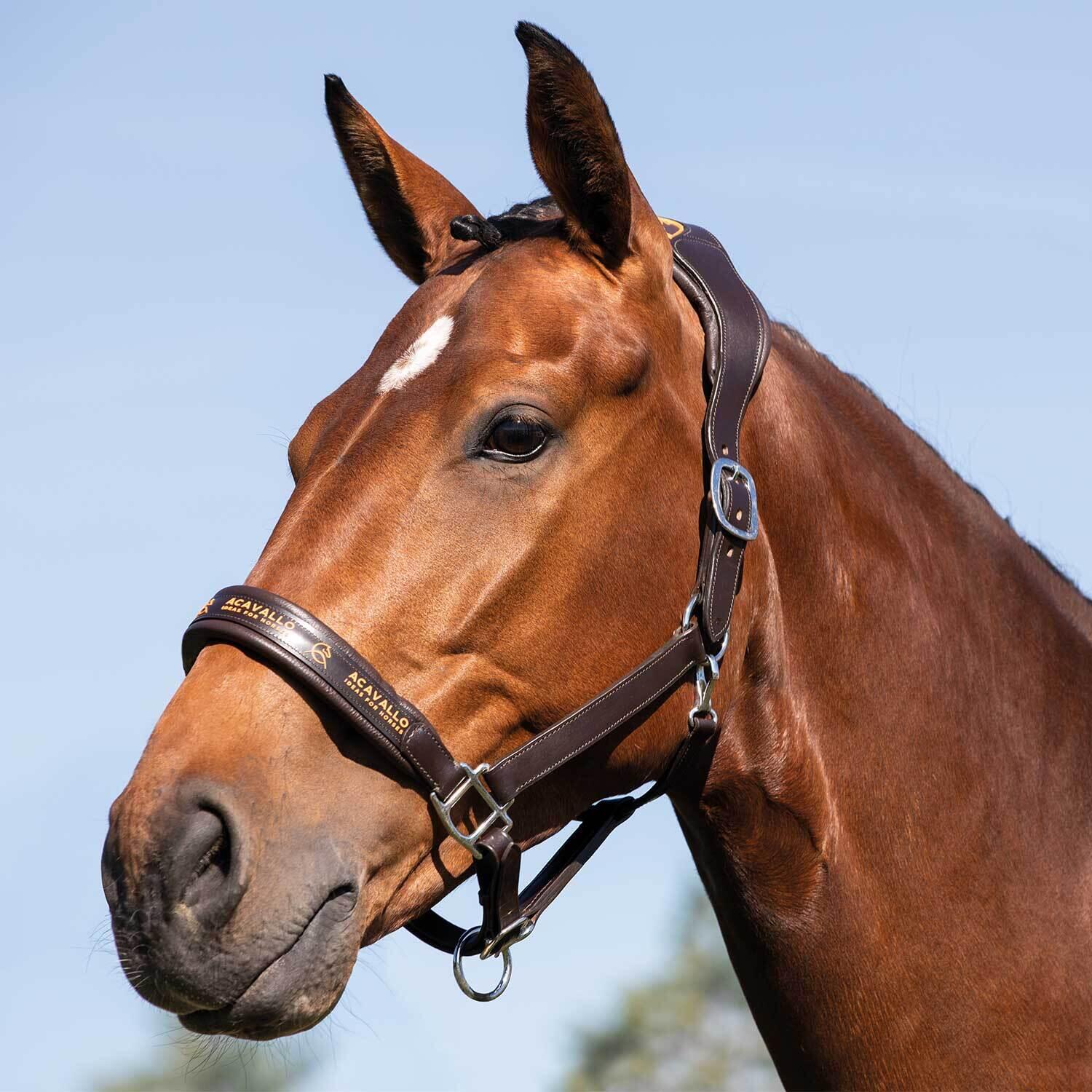 Halsband voor paard met voering van kalfsleer Acavallo Ergonomic Pollguard 5/5
