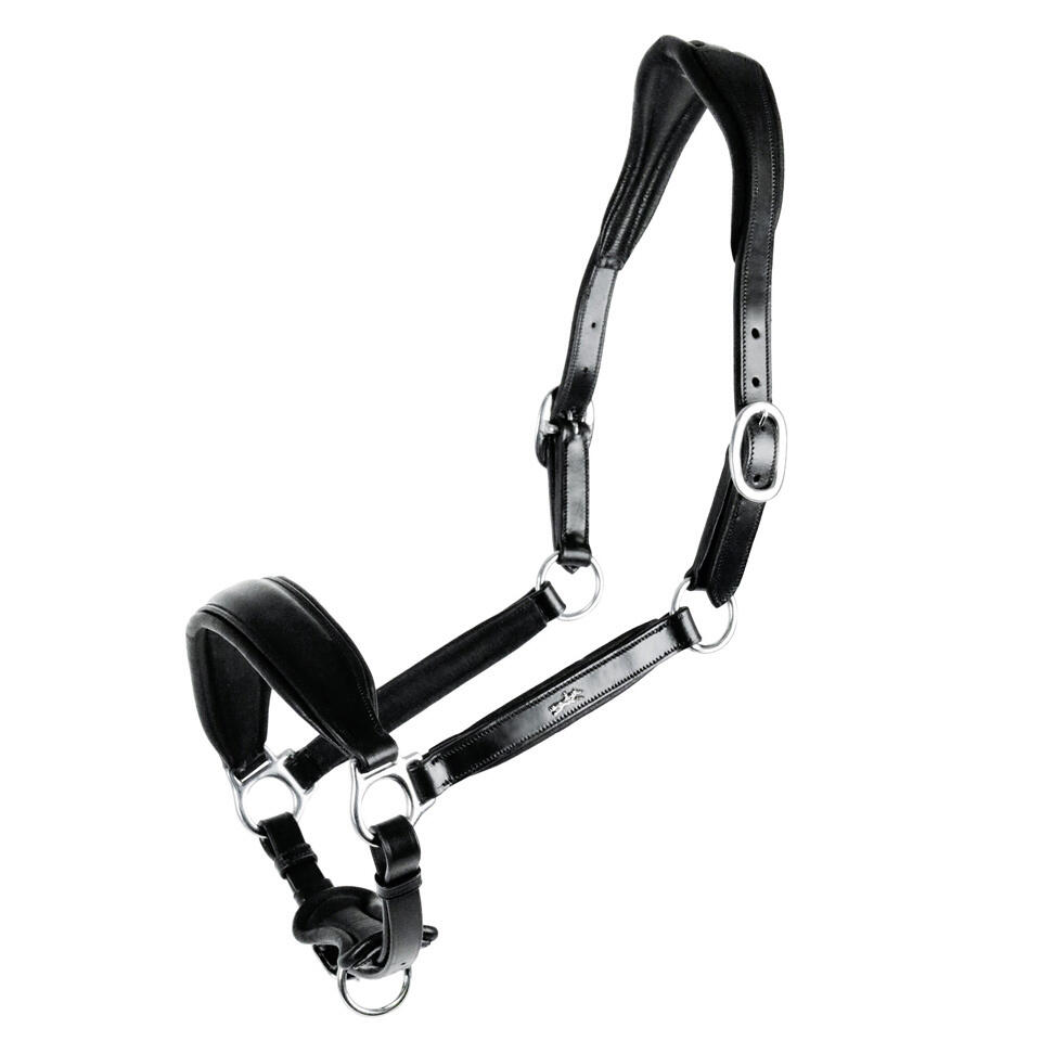 Licol in pelle per cavallo Schockemöehle Fremont 2/4