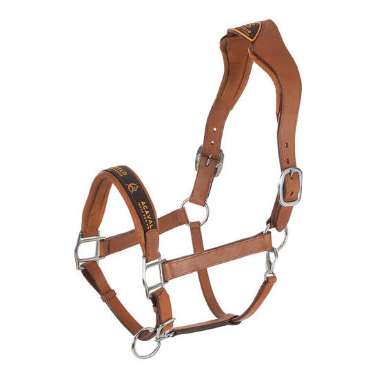 Licol pour cheval doublure en cuir de veau Acavallo Ergonomic Pollguard