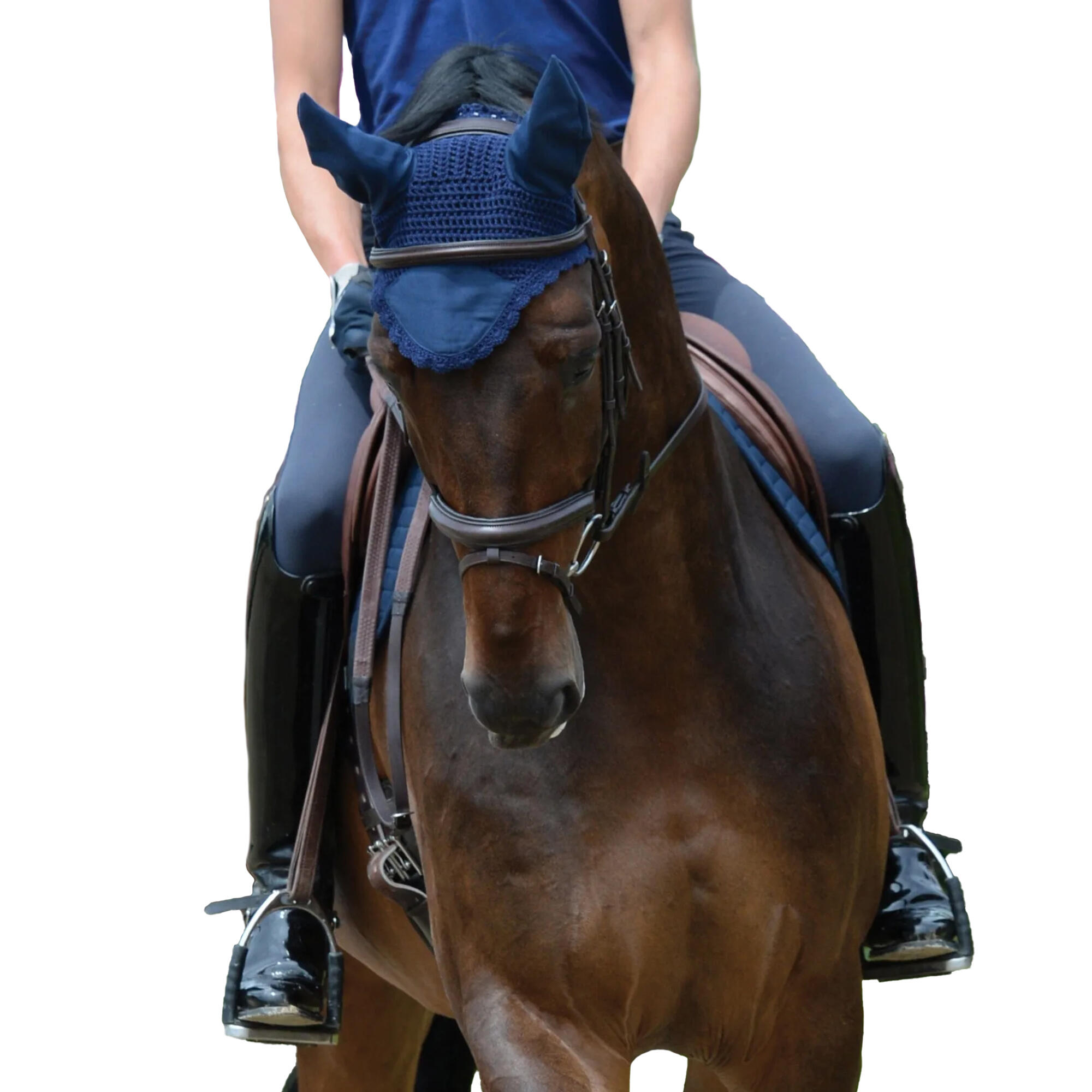 Cuffietta Per Cavalli Weatherbeeta Prime Blu Scuro 2/2