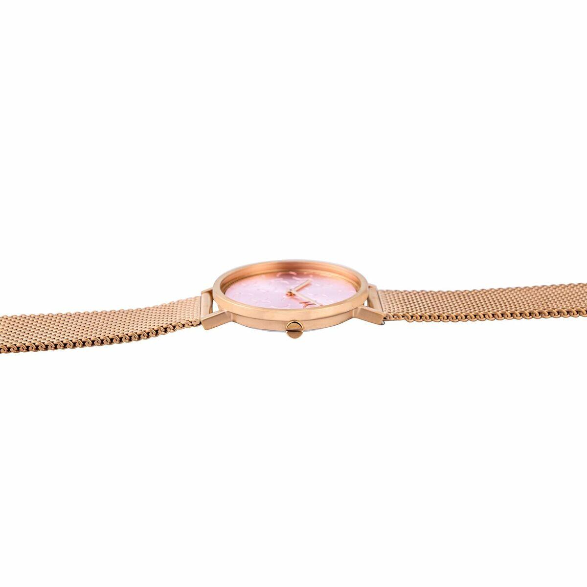 Reloj Mujer Pierre Cardin CBV-1519 4/5