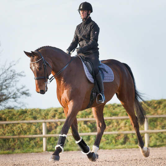 Guêtres pour cheval fermées Horze Signature 4/5
