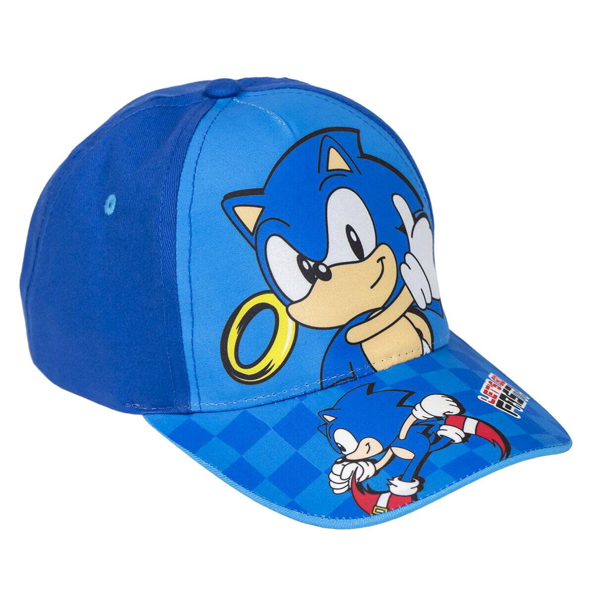 SONIC THE HEDGEHOG picture