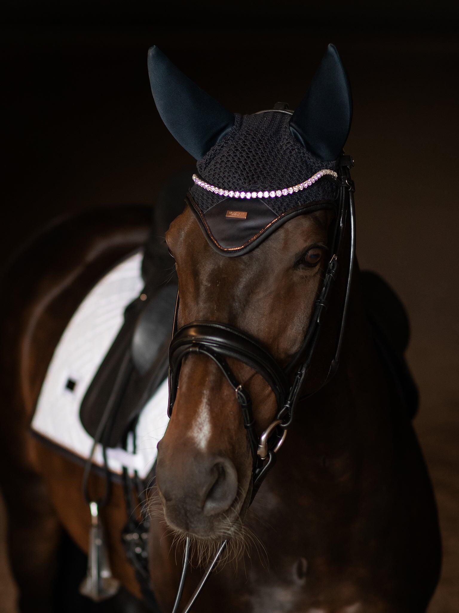 EQUESTRIAN STOCKHOLM picture