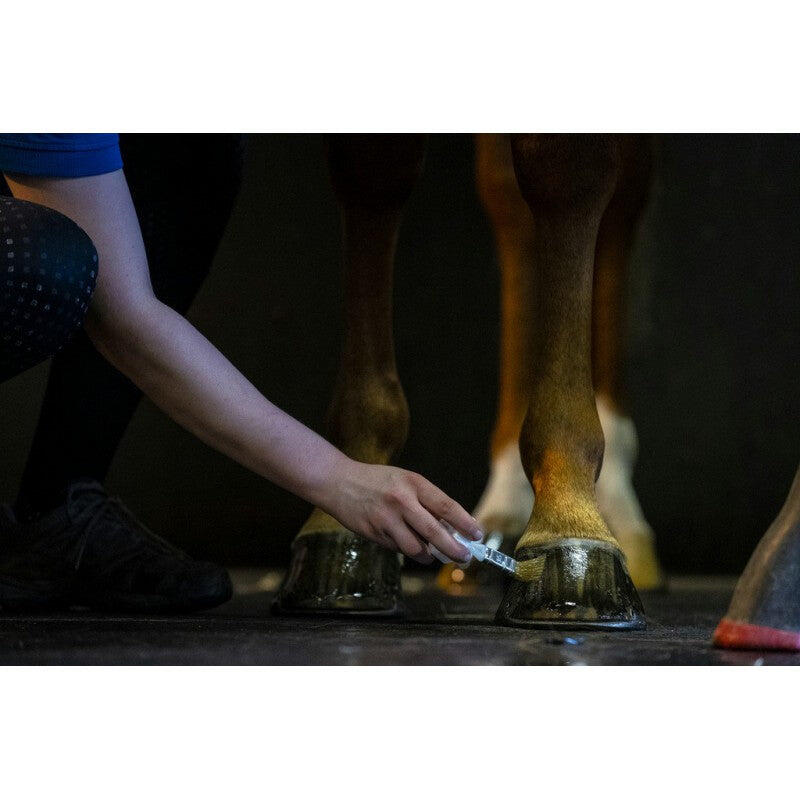 Hoof oil for horses Kevin Bacon's 1 L 4/5