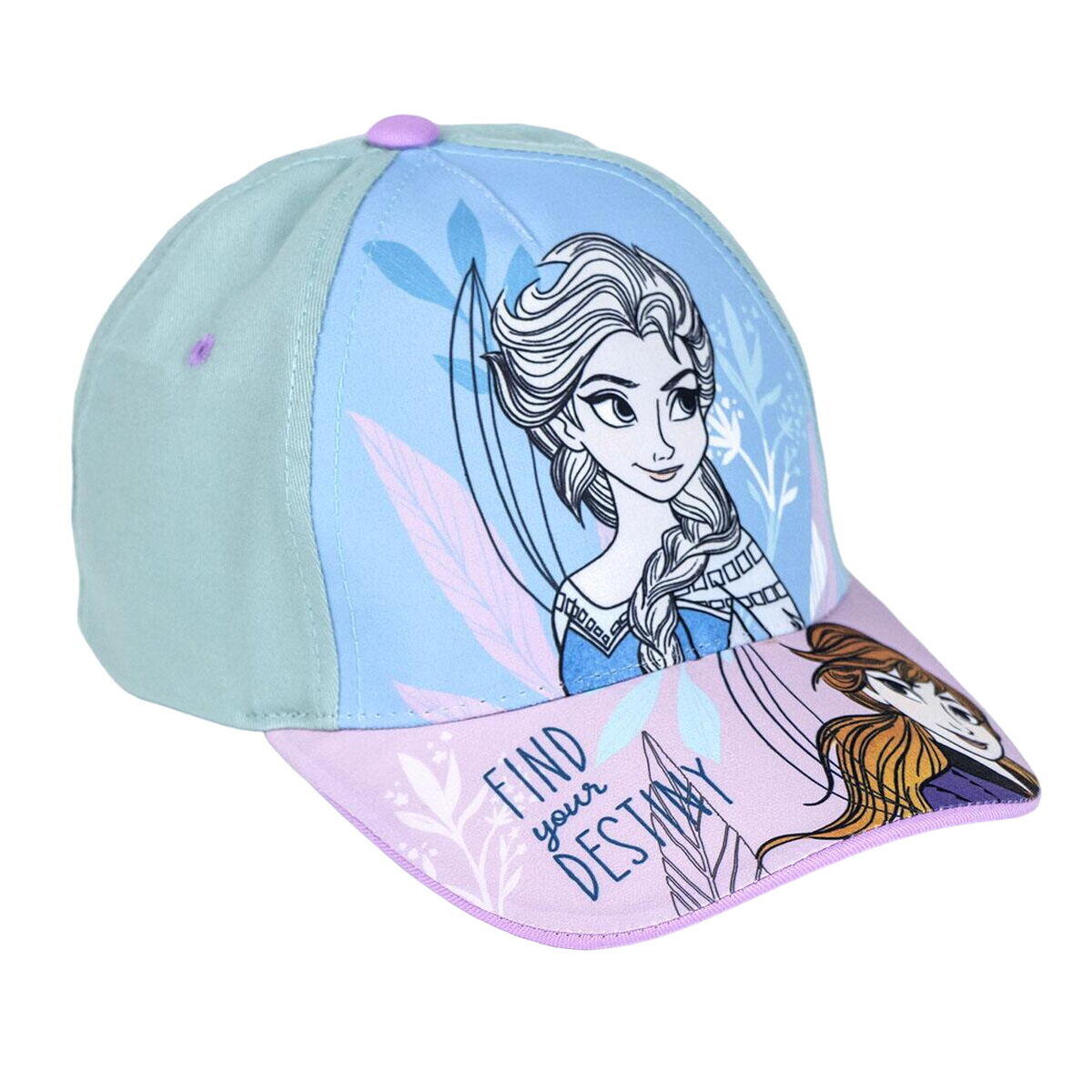 DISNEY FROZEN picture