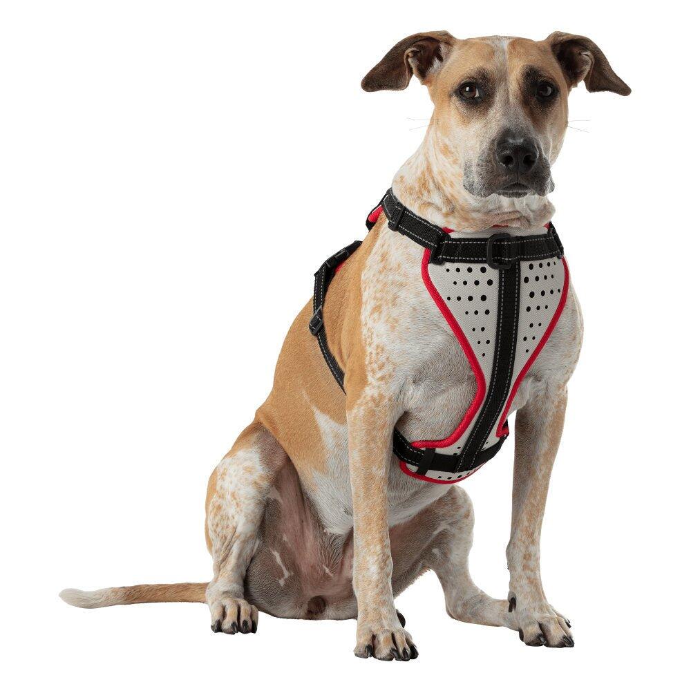 Hundegeschirr "K9 Serie" Nathan 3/5