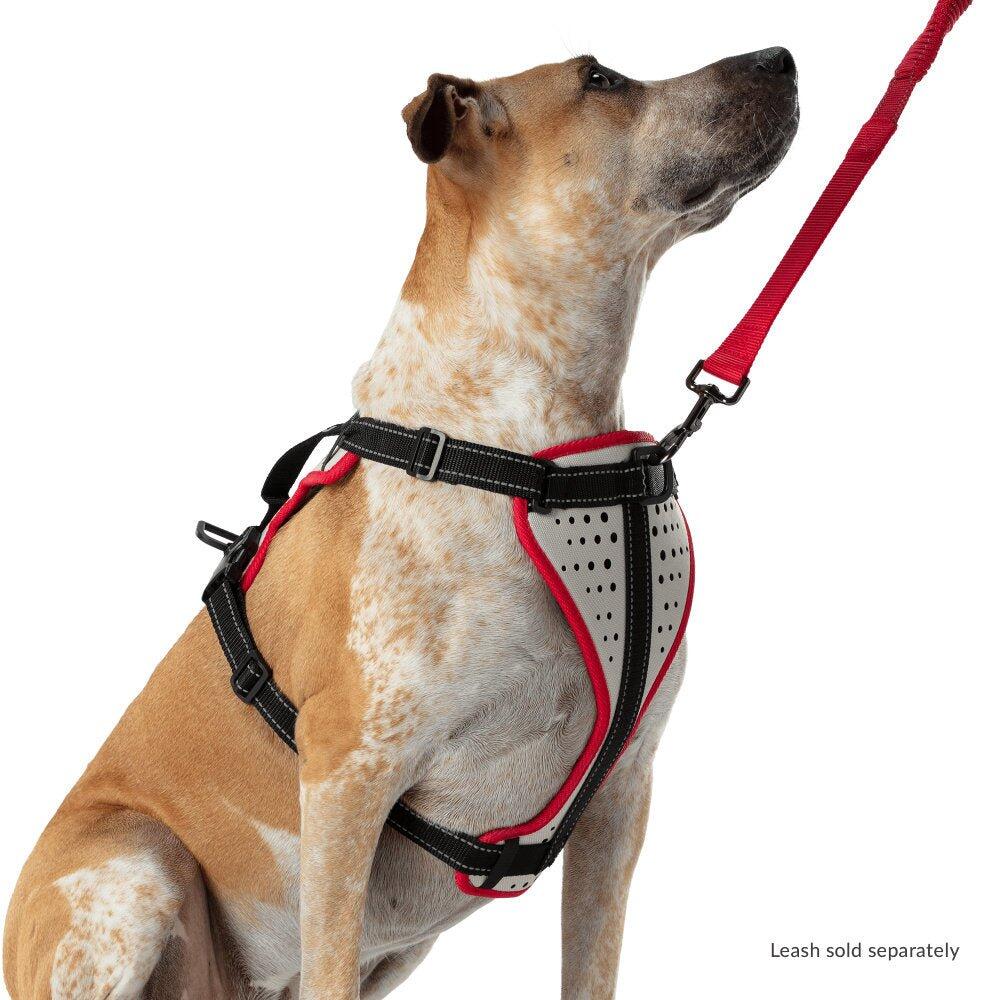 Hundegeschirr "K9 Serie" Nathan 4/5