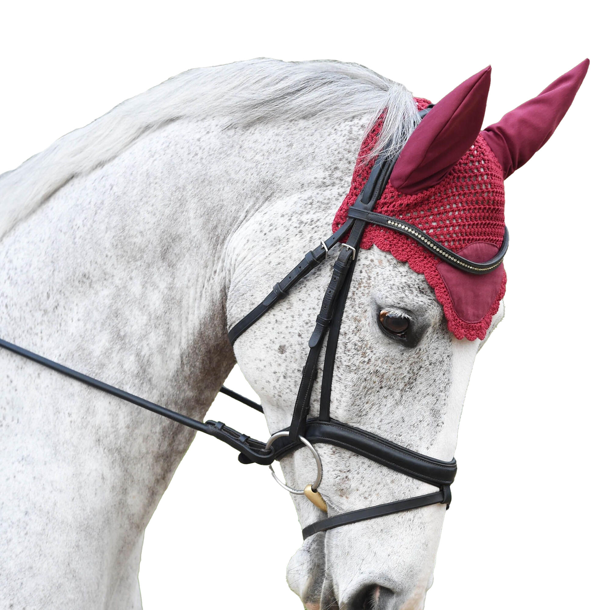 Prime Ear Bonnet (Maroon) 2/2