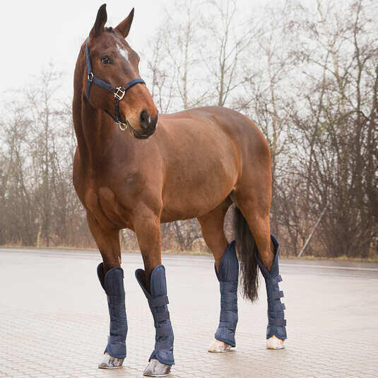 Guêtres pour transport pour cheval Horze 3/4