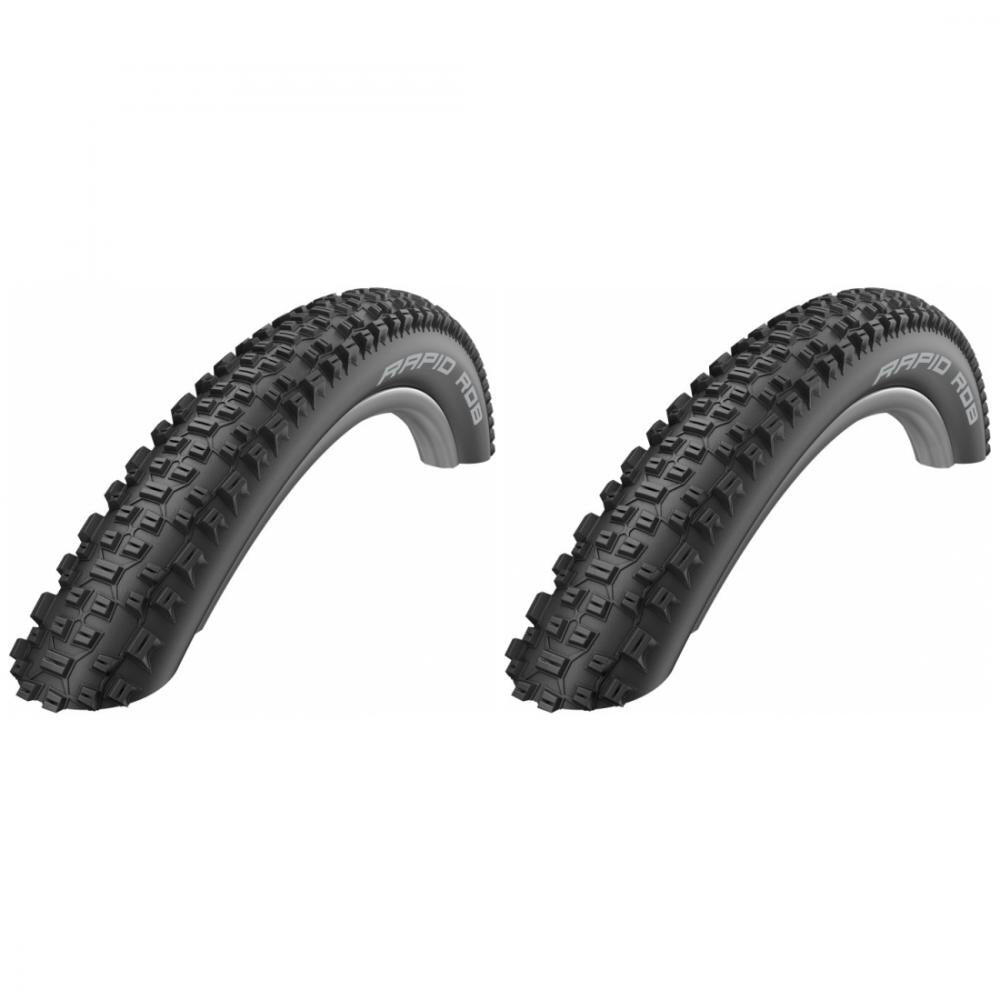 SCHWALBE picture