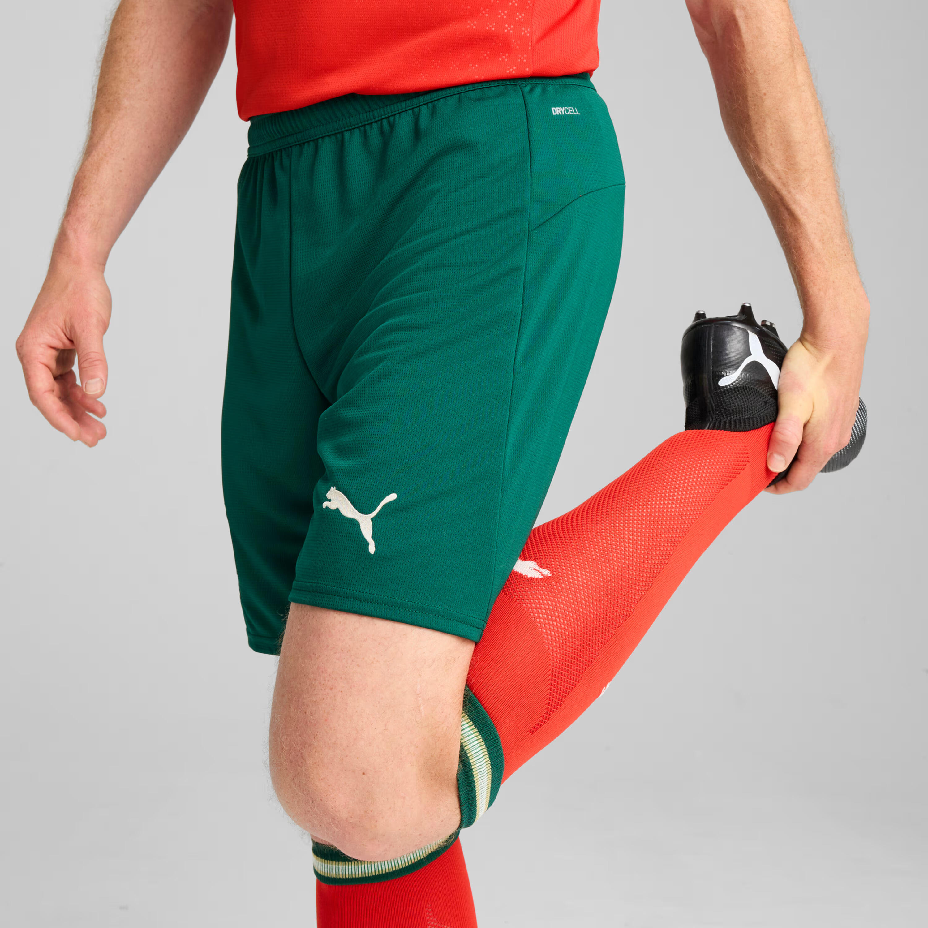 Short Portugal 2025 Homme PUMA 7/7