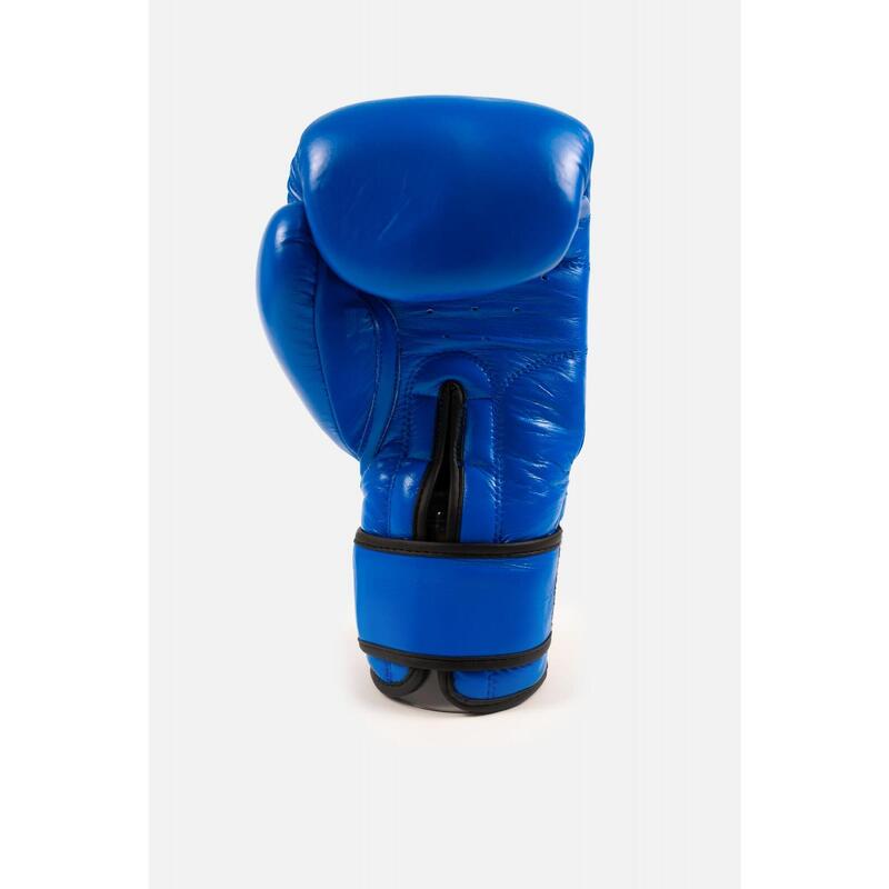 Manusi de box ARMURA Fanaticus 4.0 Albastre