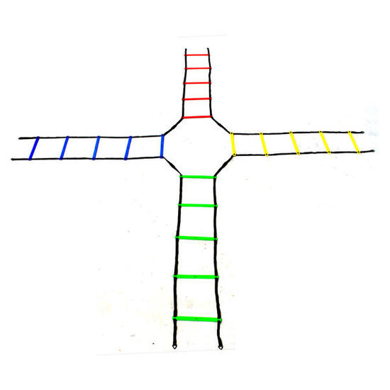 Échelle d'agilité STP-QUAD