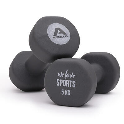 Korte halterset 2 x 5 kg voor krachttraining. grijs
