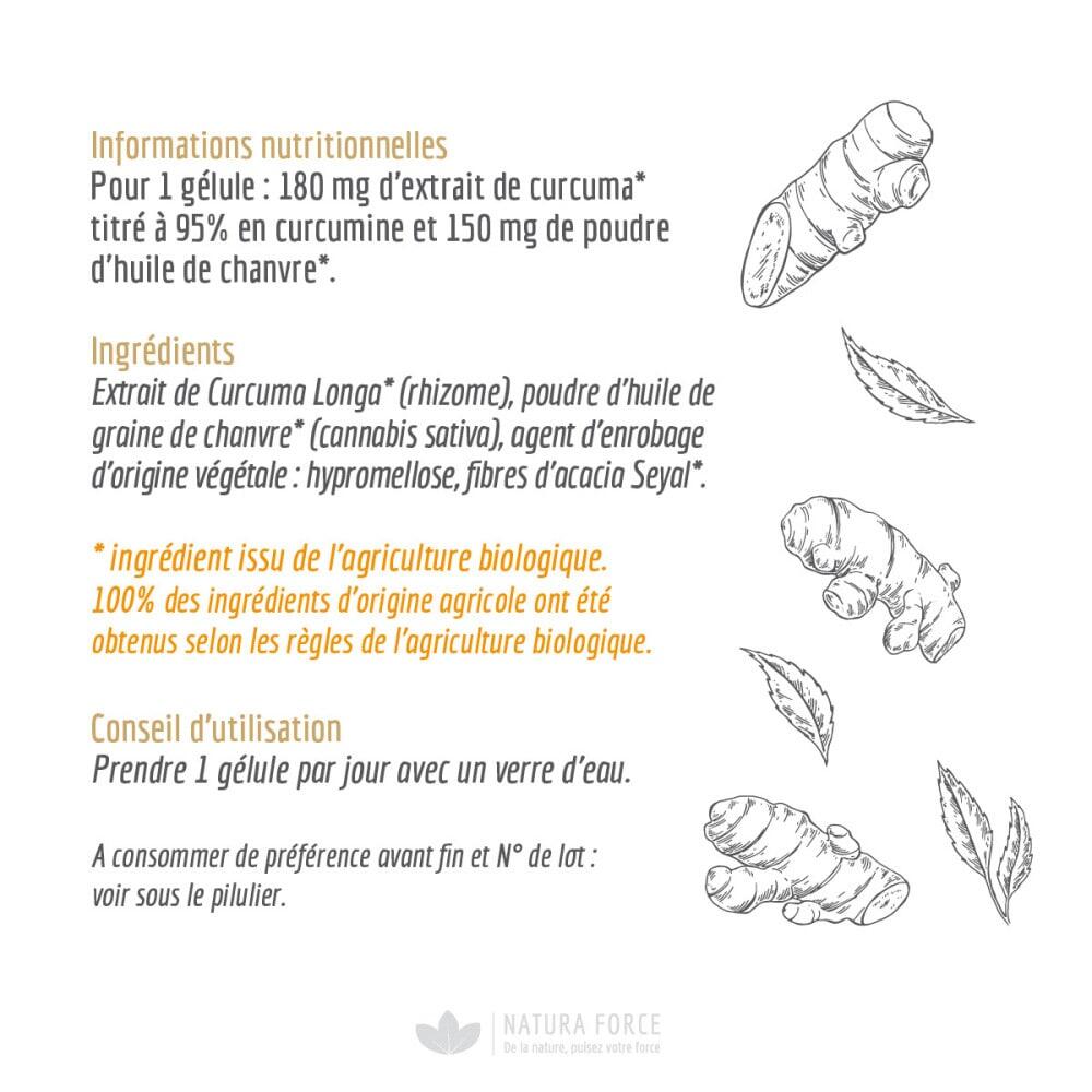 Curcuma - Curcuma (90 Cápsulas) 2/3