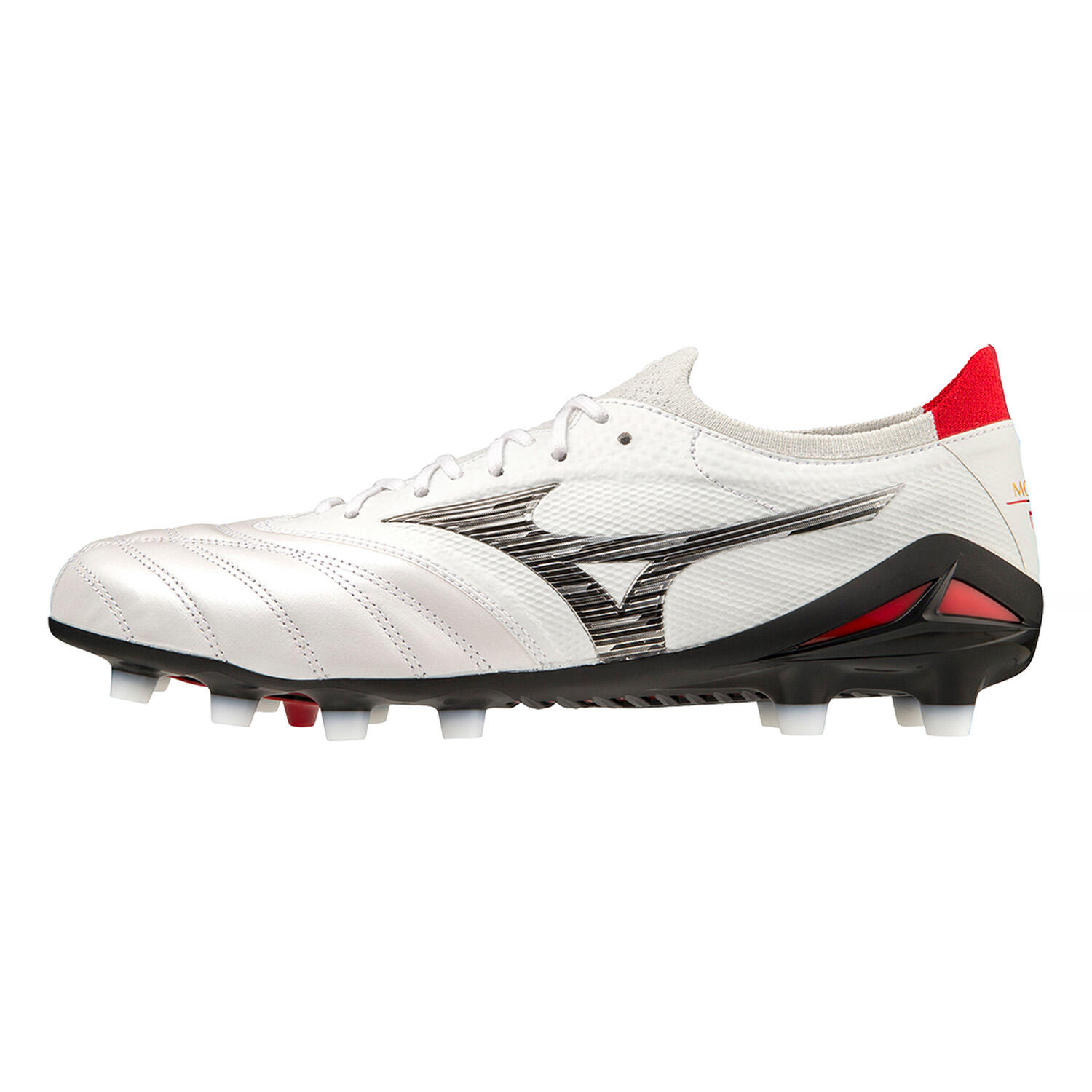 MIZUNO picture