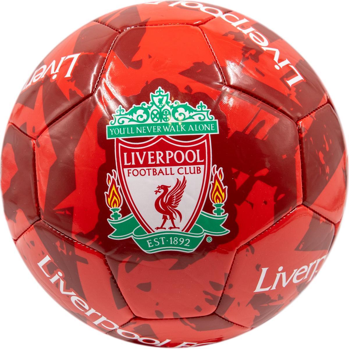 LIVERPOOL FC picture
