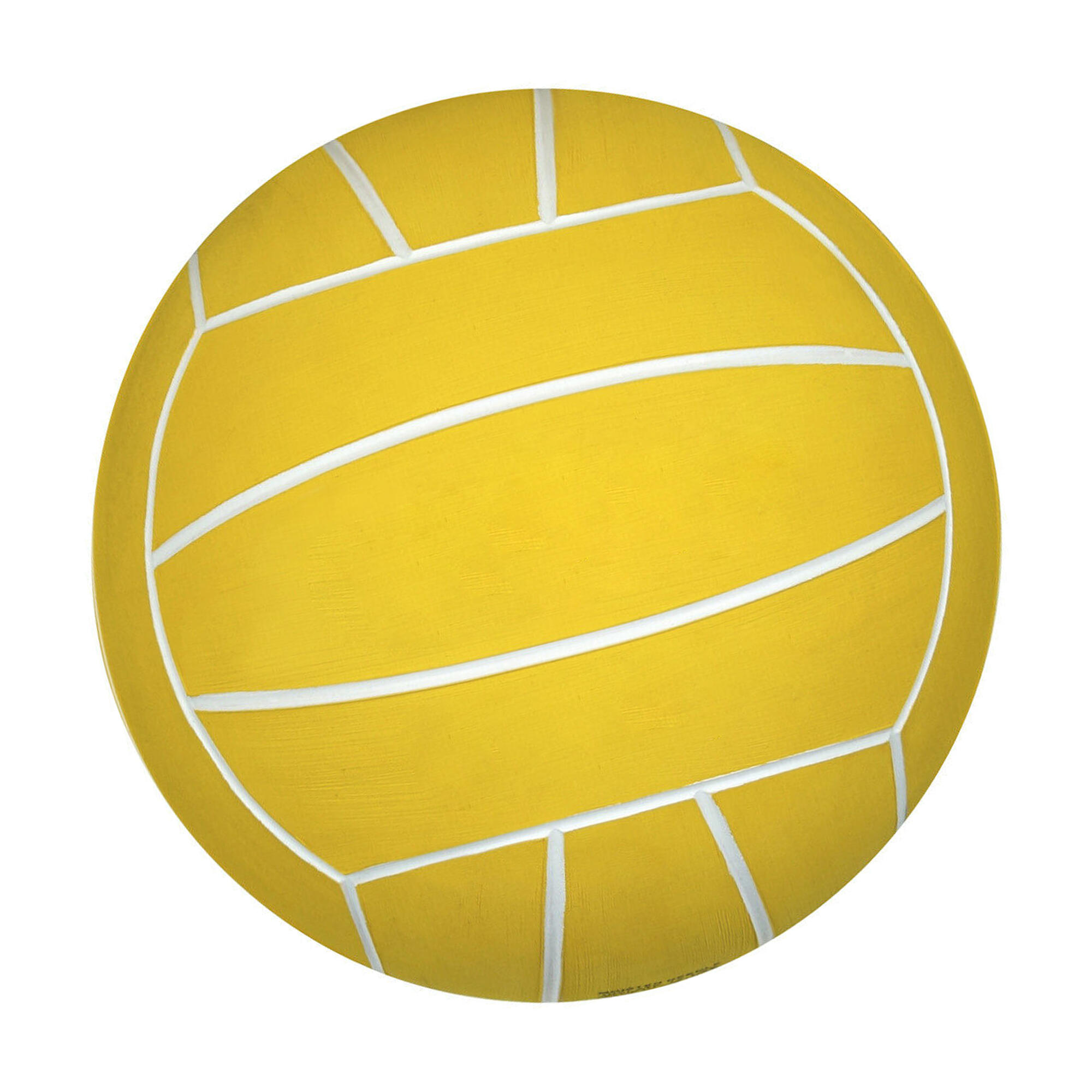 Ballon De Waterpolo (Jaune / Noir) Taille 4 2/2