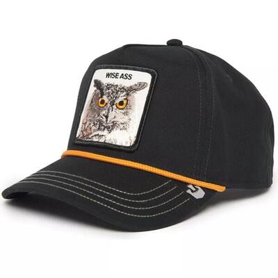 Pet wise owl 100 zwart - 101-1257-blk