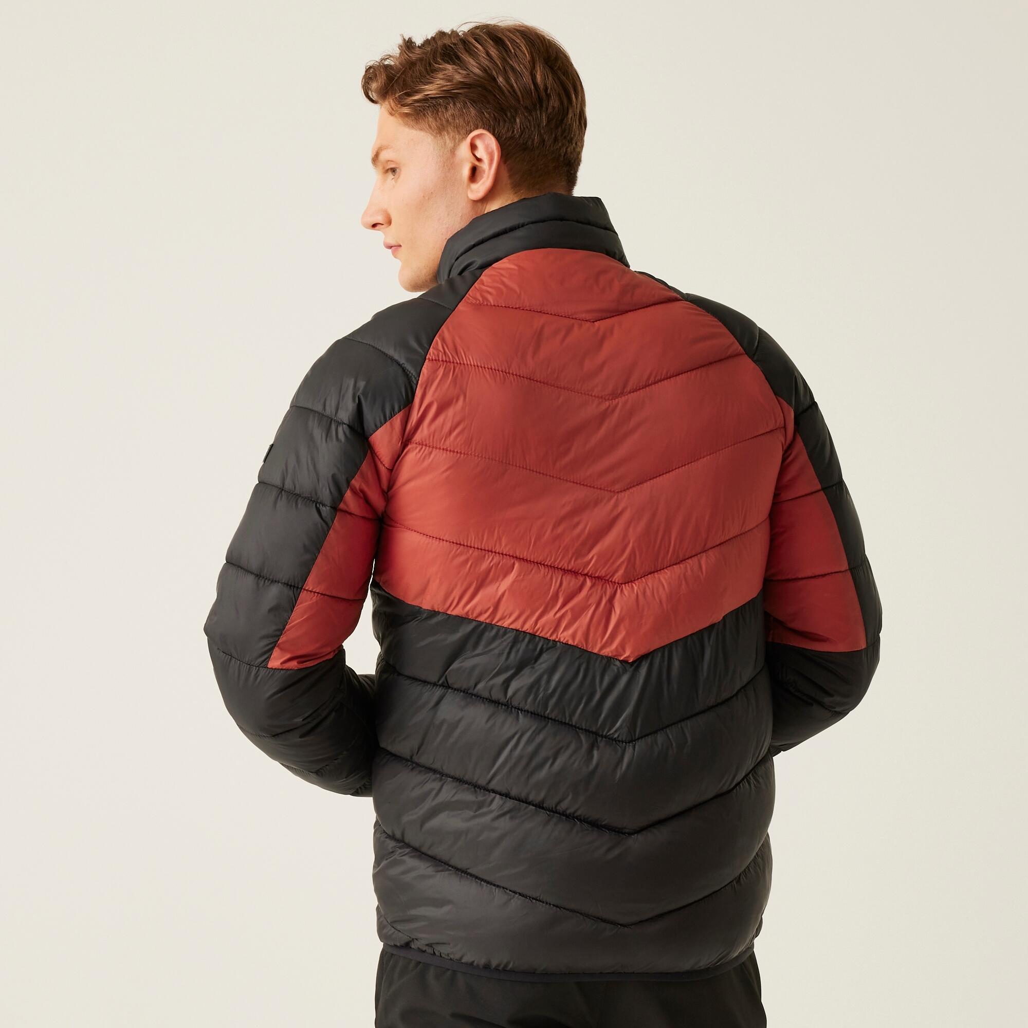Chaqueta Acolchada REGATTA DALENT. RMN248 red ochre/black 6/7