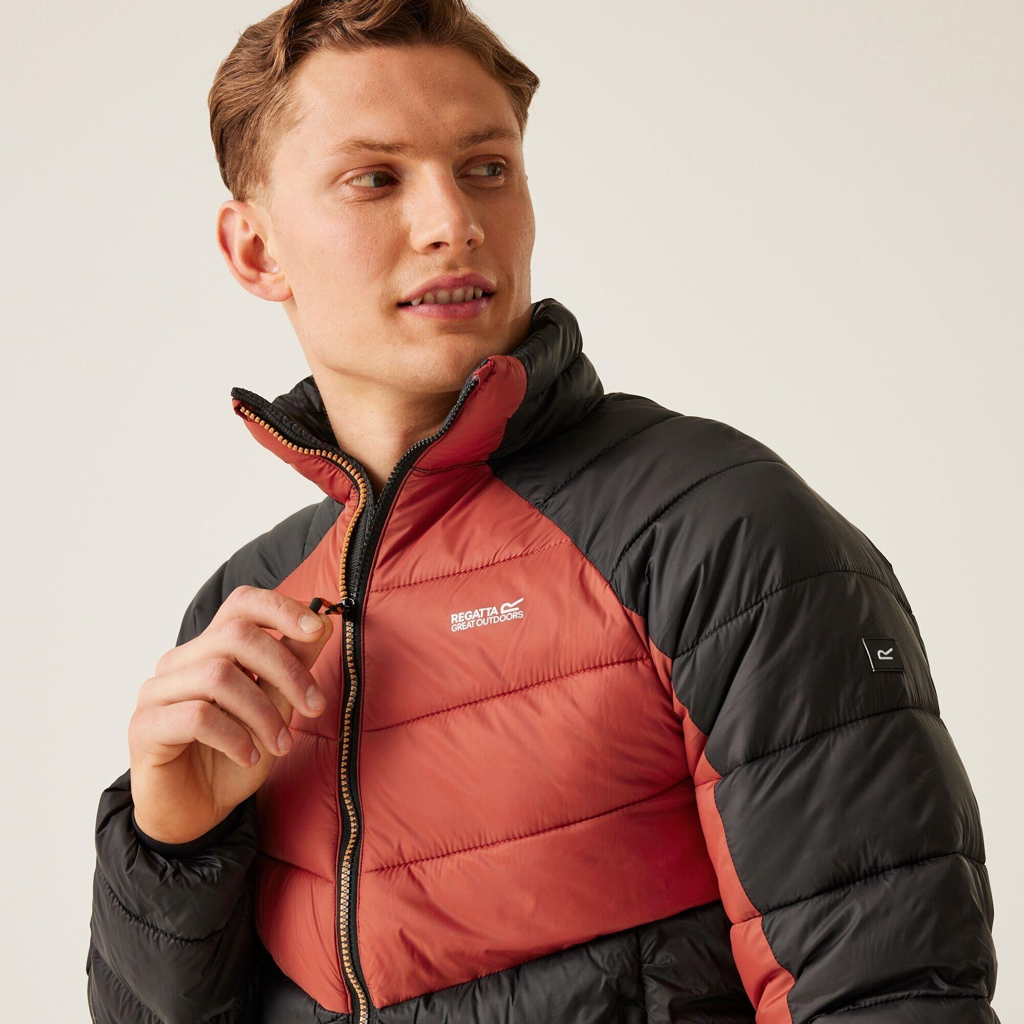 Chaqueta Acolchada REGATTA DALENT. RMN248 red ochre/black 7/7