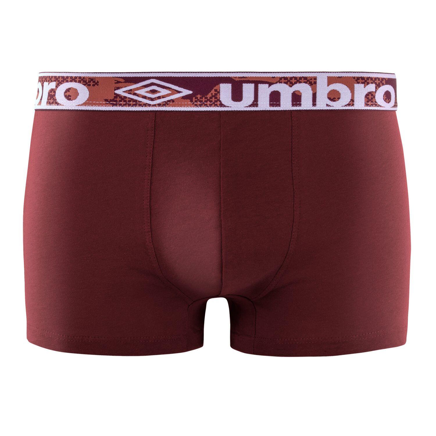 Lot de 5 Boxers coton homme Uni 2/5